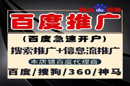 某品牌SEM推广代运营的实践与效果评估